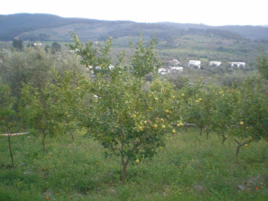 Maison d'hôtes Parco Dei Limoni à Peschici Extérieur photo